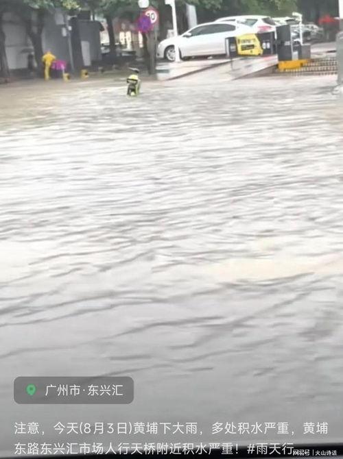 爆料广州暴雨最新消息视频,城市应对极端天气挑战纪实