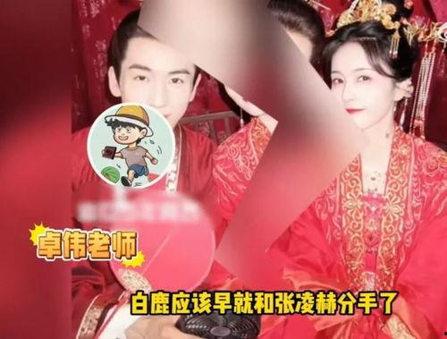 白鹿爆料视频在线观看,揭秘幕后真相,带你走进事件核心 第2张 白鹿爆料视频在线观看,揭秘幕后真相,带你走进事件核心 第2张